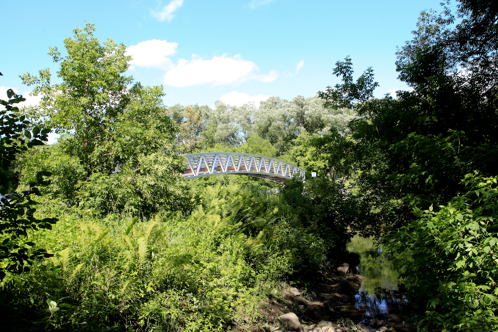 Arched aluminum footbridge crossing over lake and forest