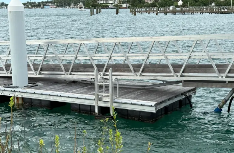 Picture shows a safety ladder installed on an aluminum floating dock.