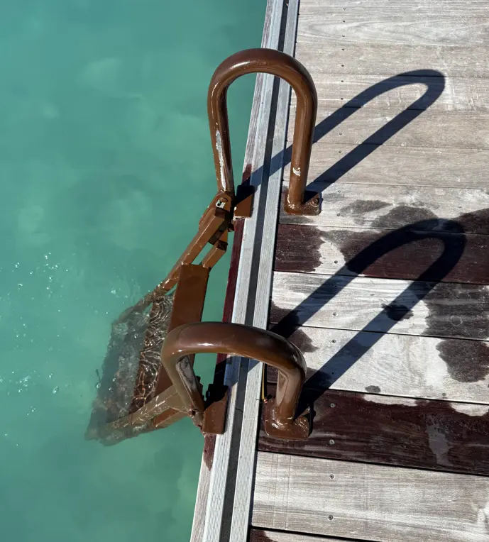 Example of a folding retractable powder-coated aluminum dock step ladder mounted on a floating dock